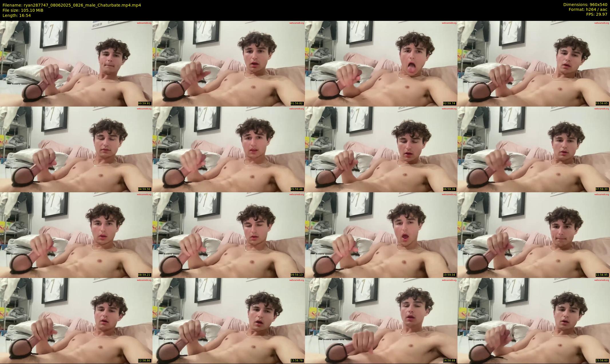 ryan287747 — 17 minute Chaturbate male cam show recording, 480p, Jun 8, 2025