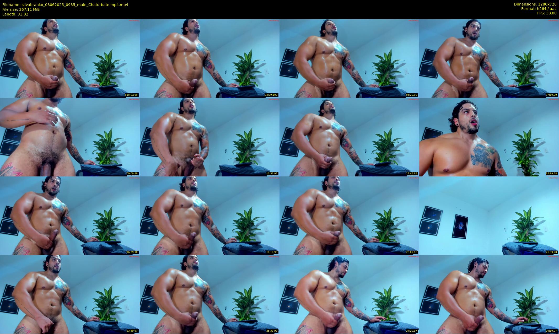silvabranko — 32 minute Chaturbate male cam show recording, 720p, Jun 8, 2025