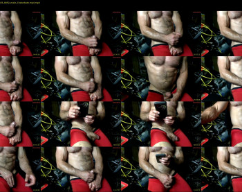 whackingmywilly — 14 minute Chaturbate male cam show recording, 480p, Jun 9, 2025