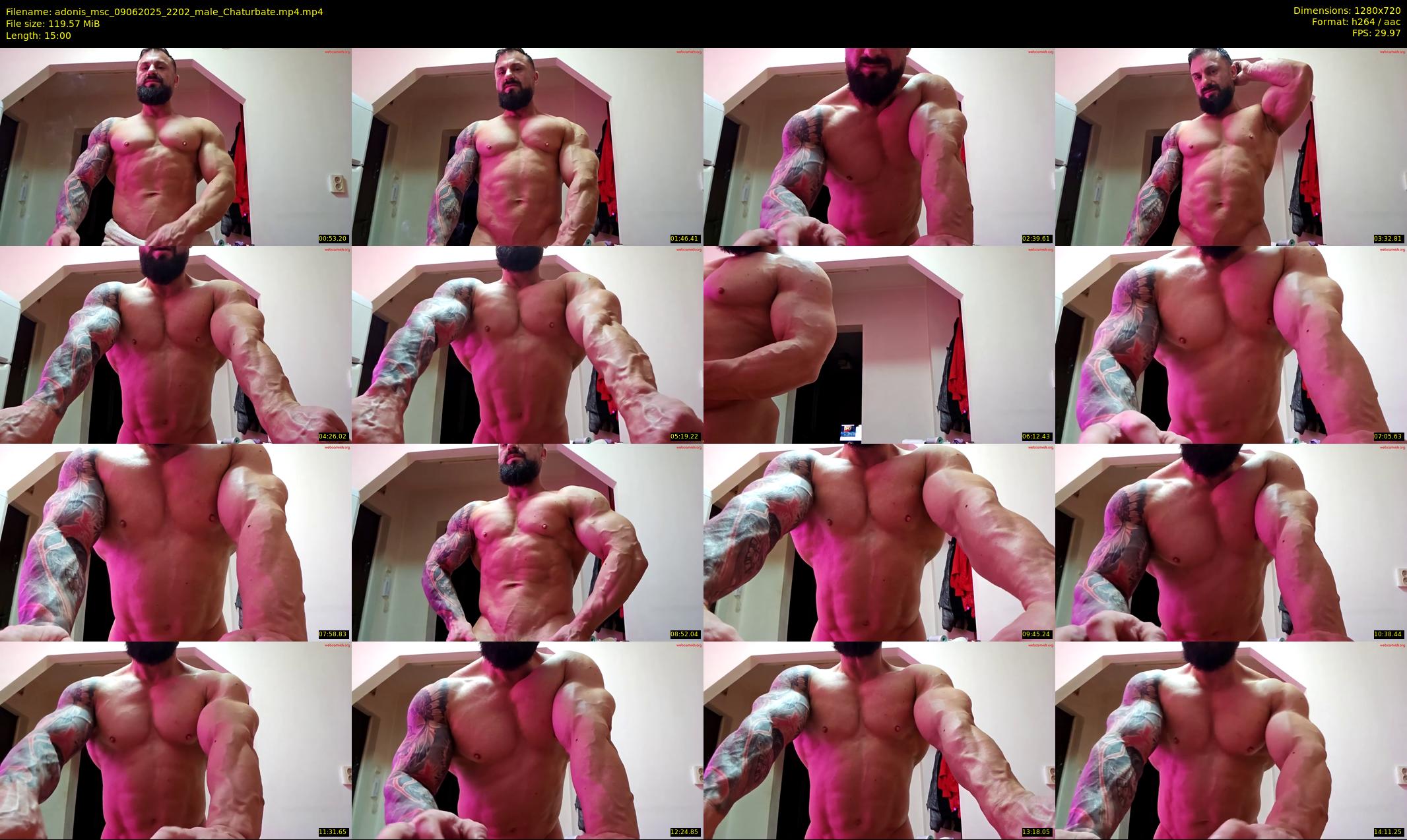 adonis_msc — 15 minute Chaturbate male cam show recording, 720p, Jun 9, 2025
