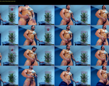 silvabranko — 17 minute Chaturbate male cam show recording, 720p, Jun 9, 2025