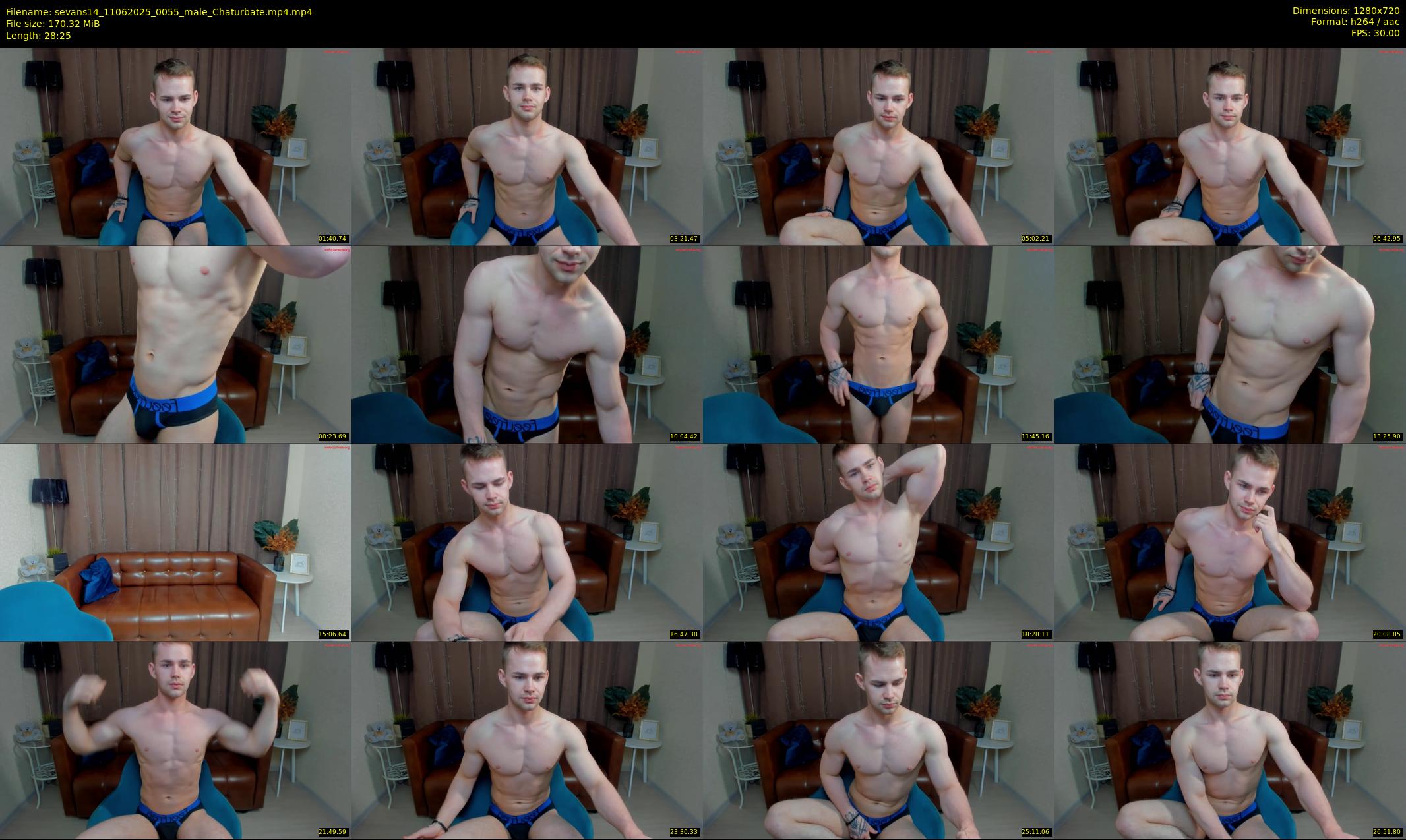 sevans14 — 29 minute Chaturbate male cam show recording, 720p, Jun 11, 2025