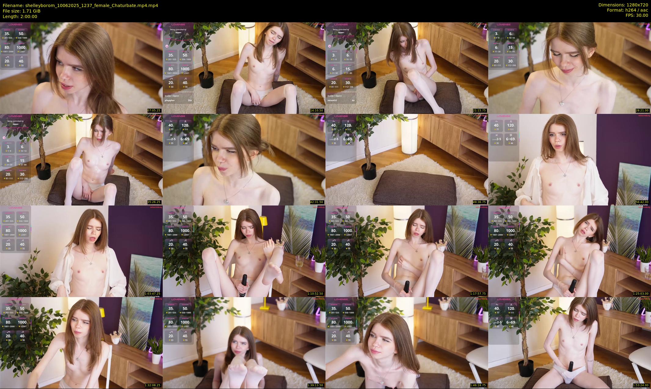 shelleyborom — 120 minute Chaturbate female cam show recording, 720p, Jun 10, 2025