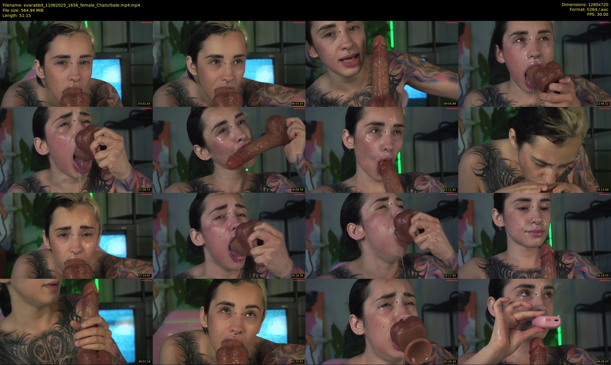 evarabbit — 52 minute Chaturbate female cam show recording, 720p, Jun 11, 2025