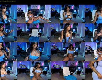 tatted_vixen — 29 minute Chaturbate female cam show recording, 480p, Jun 11, 2025