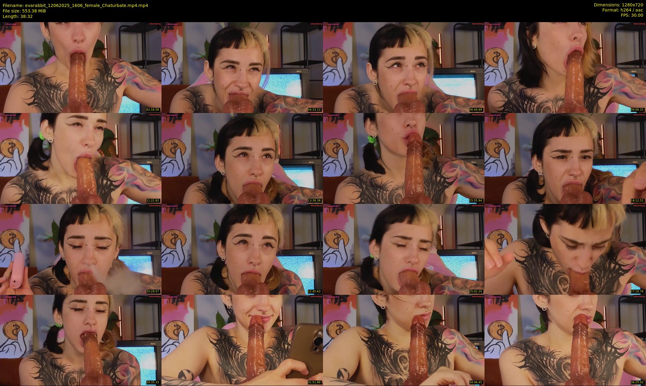 evarabbit — 39 minute Chaturbate female cam show recording, 720p, Jun 12, 2025