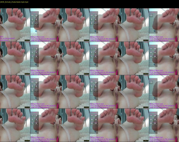 shycinderella — 20 minute Chaturbate female cam show recording, 720p, Jun 12, 2025