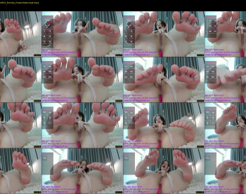 shycinderella — 19 minute Chaturbate female cam show recording, 720p, Jun 13, 2025