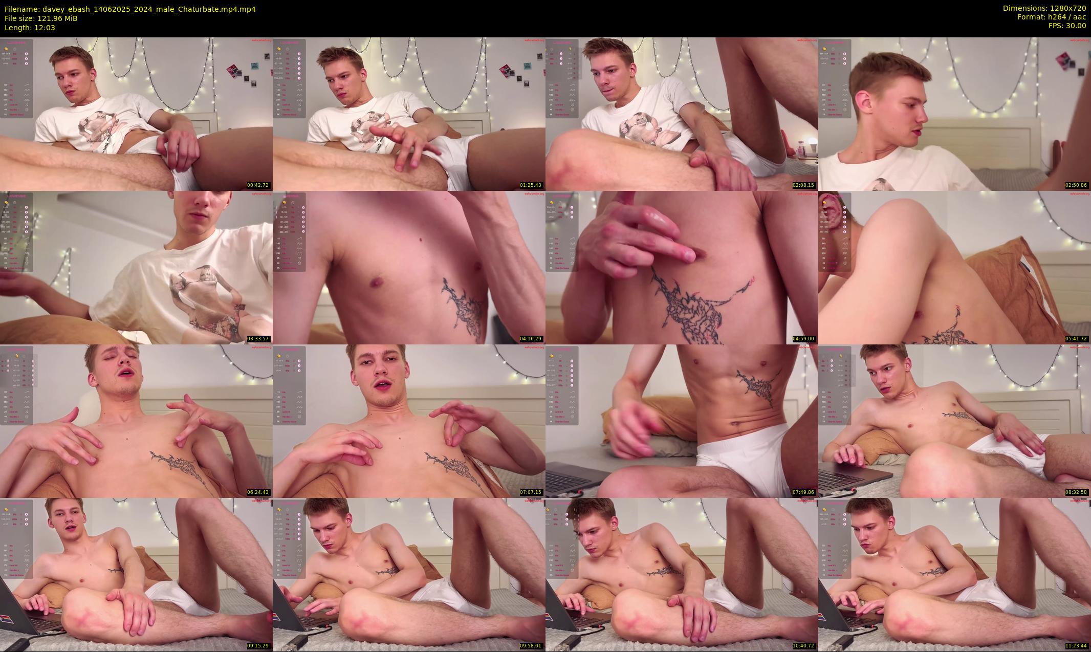 davey_ebash — 13 minute Chaturbate male cam show recording, 720p, Jun 14, 2025