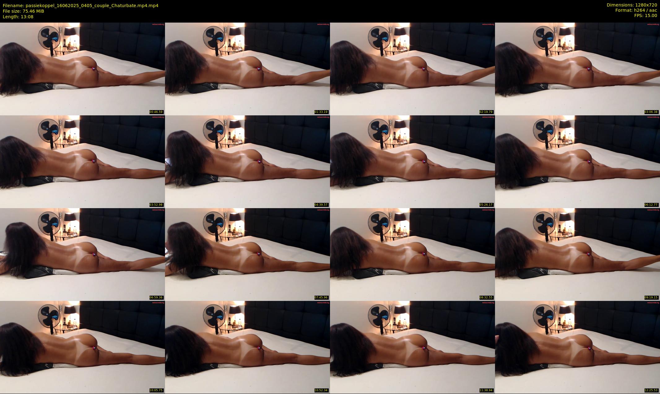 passiekoppel — 14 minute Chaturbate couple cam show recording, 720p, Jun 16, 2025