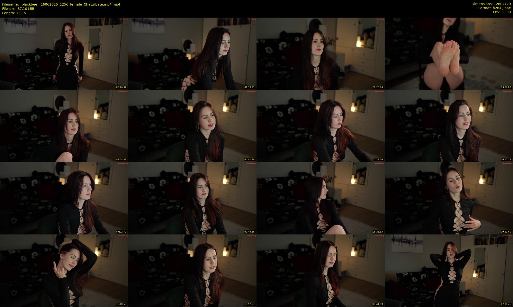 _blackbee_ — 14 minute Chaturbate female cam show recording, 720p, Jun 16, 2025