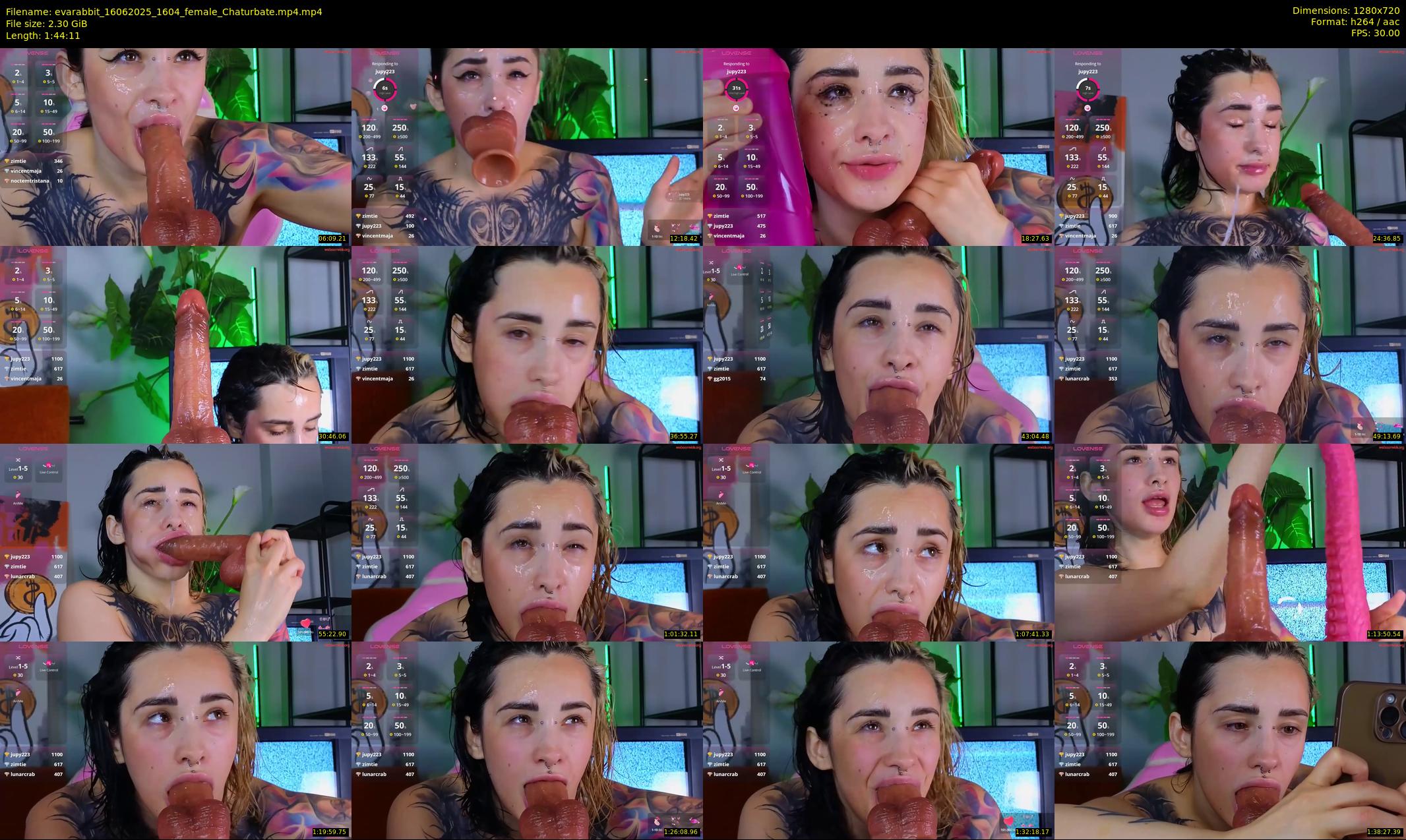 evarabbit — 105 minute Chaturbate female cam show recording, 720p, Jun 16, 2025