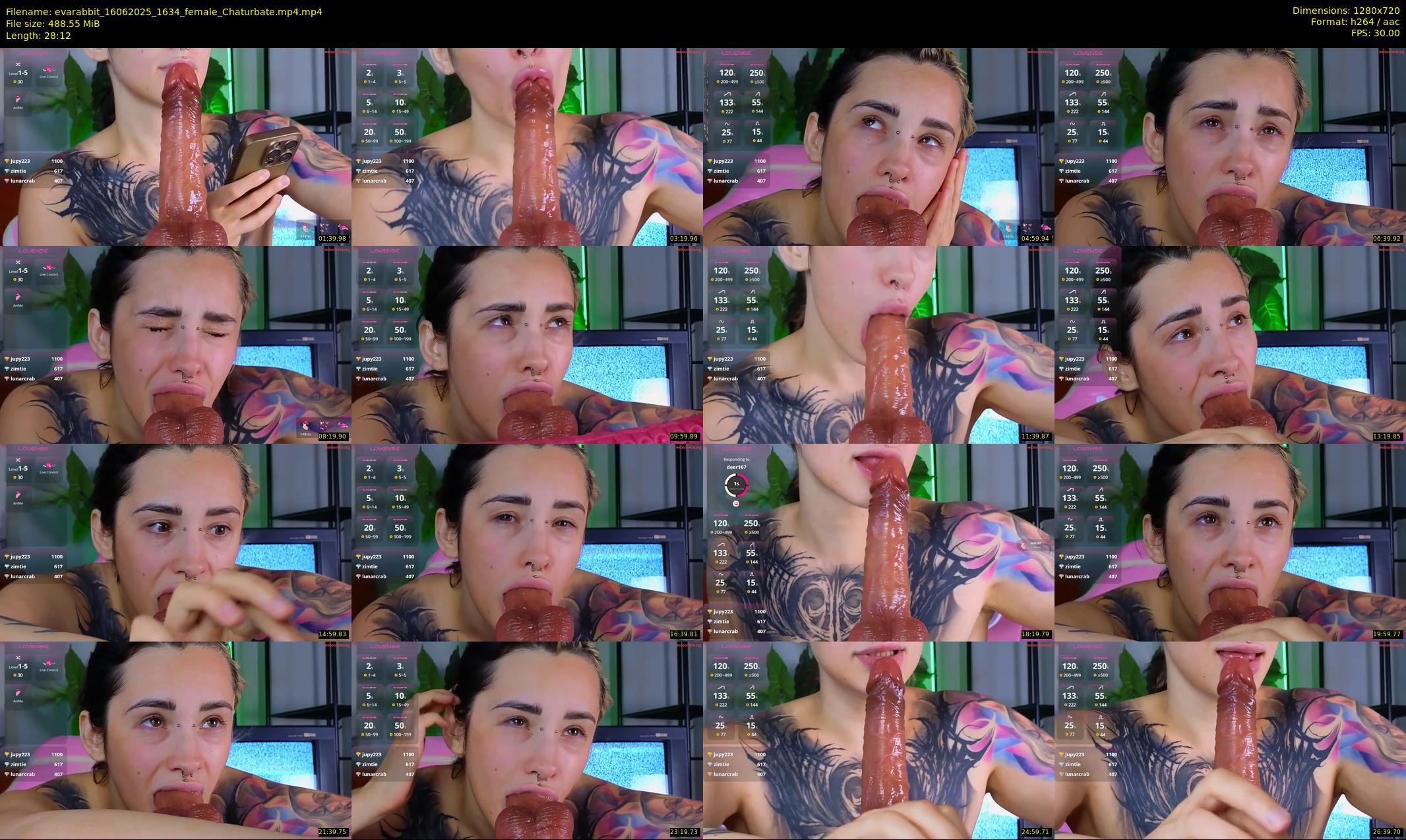 evarabbit — 29 minute Chaturbate female cam show recording, 720p, Jun 16, 2025