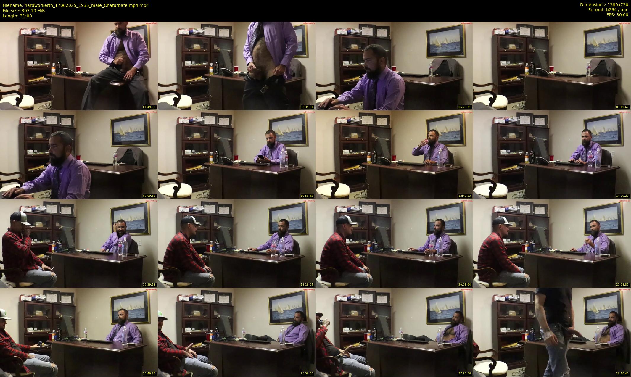 hardworkertn — 31 minute Chaturbate male cam show recording, 720p, Jun 17, 2025