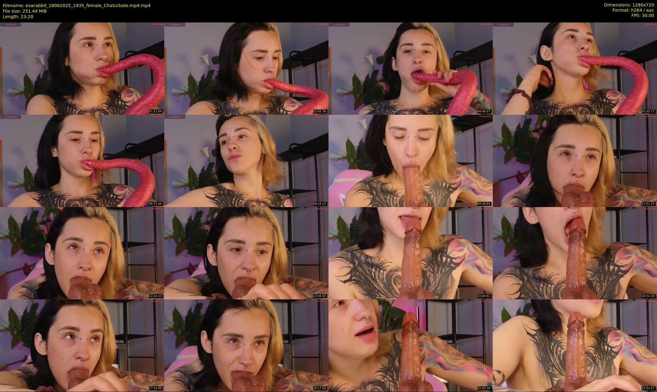 evarabbit — 24 minute Chaturbate female cam show recording, 720p, Jun 18, 2025