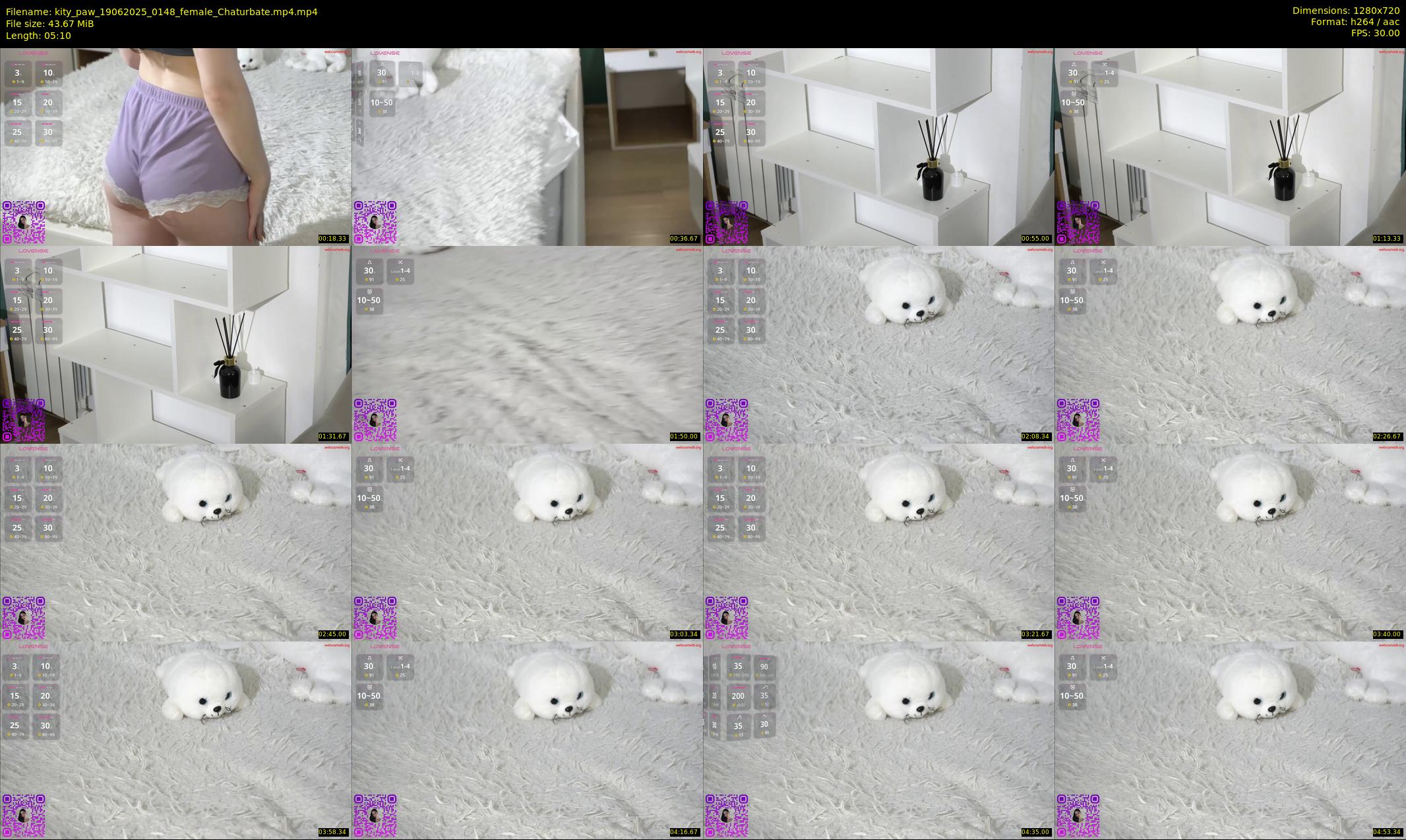 kity_paw — 6 minute Chaturbate female cam show recording, 720p, Jun 19, 2025
