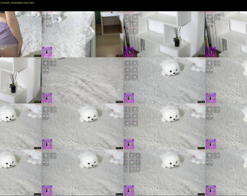 kity_paw — 6 minute Chaturbate female cam show recording, 720p, Jun 19, 2025