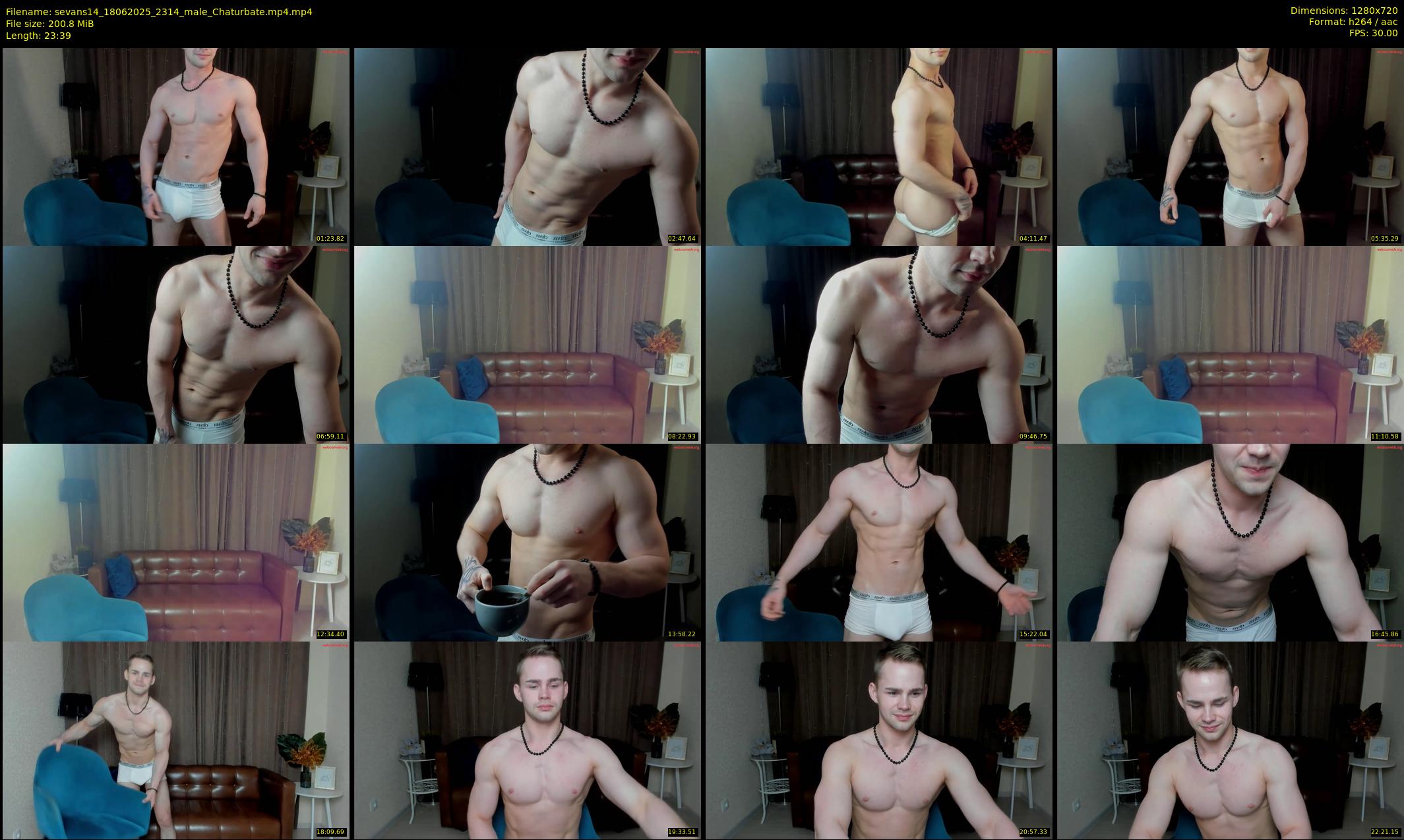 sevans14 — 24 minute Chaturbate male cam show recording, 720p, Jun 18, 2025