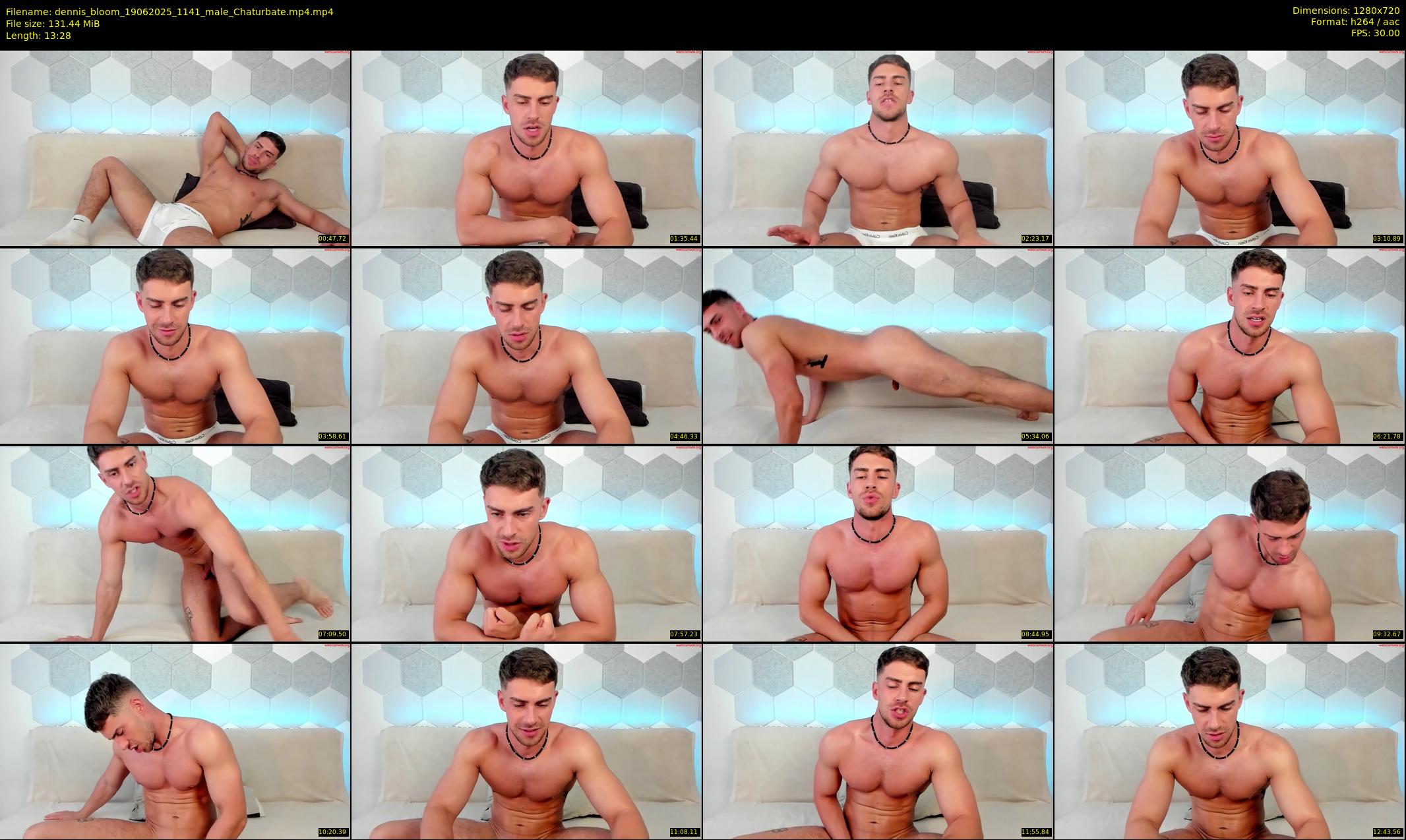 dennis_bloom — 14 minute Chaturbate male cam show recording, 720p, Jun 19, 2025