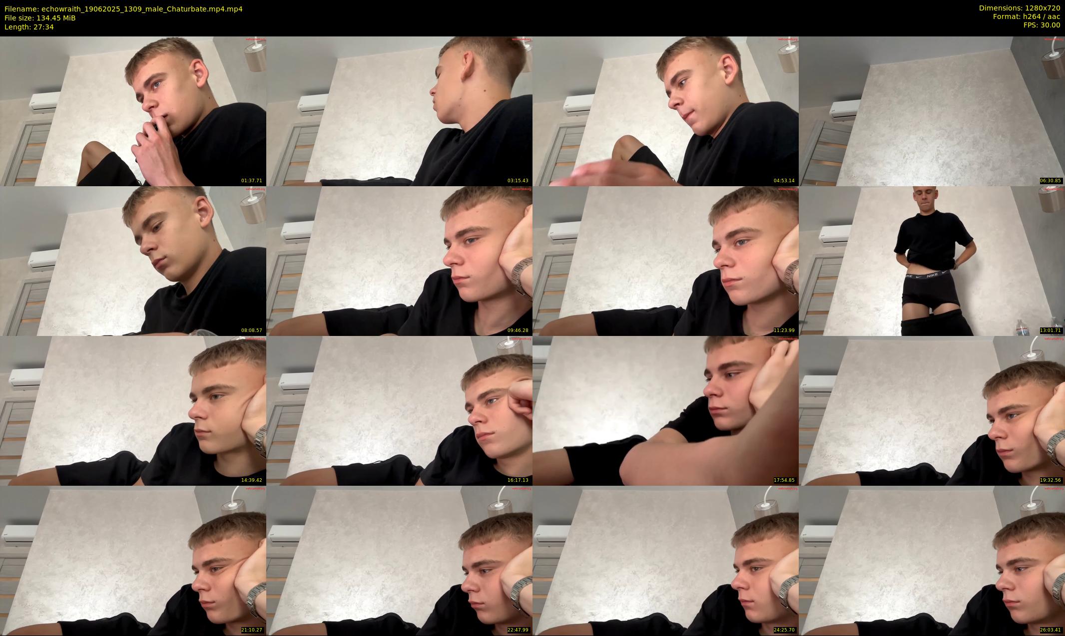 echowraith — 28 minute Chaturbate male cam show recording, 720p, Jun 19, 2025