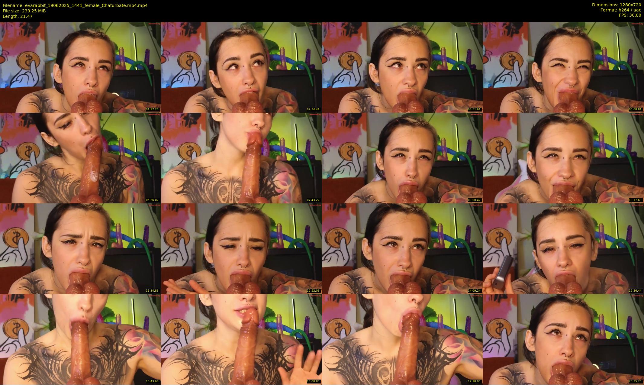 evarabbit — 22 minute Chaturbate female cam show recording, 720p, Jun 19, 2025