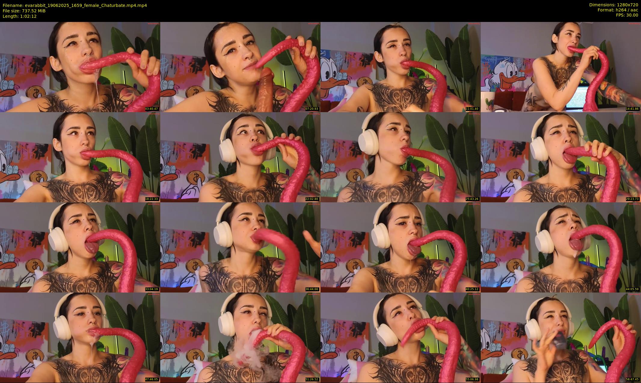 evarabbit — 63 minute Chaturbate female cam show recording, 720p, Jun 19, 2025