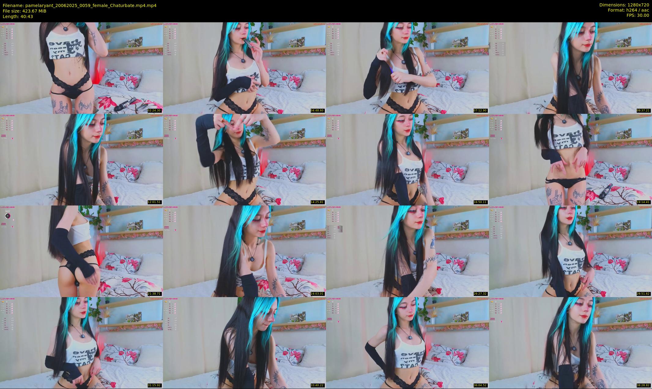 pamelaryant — 41 minute Chaturbate female cam show recording, 720p, Jun 20, 2025
