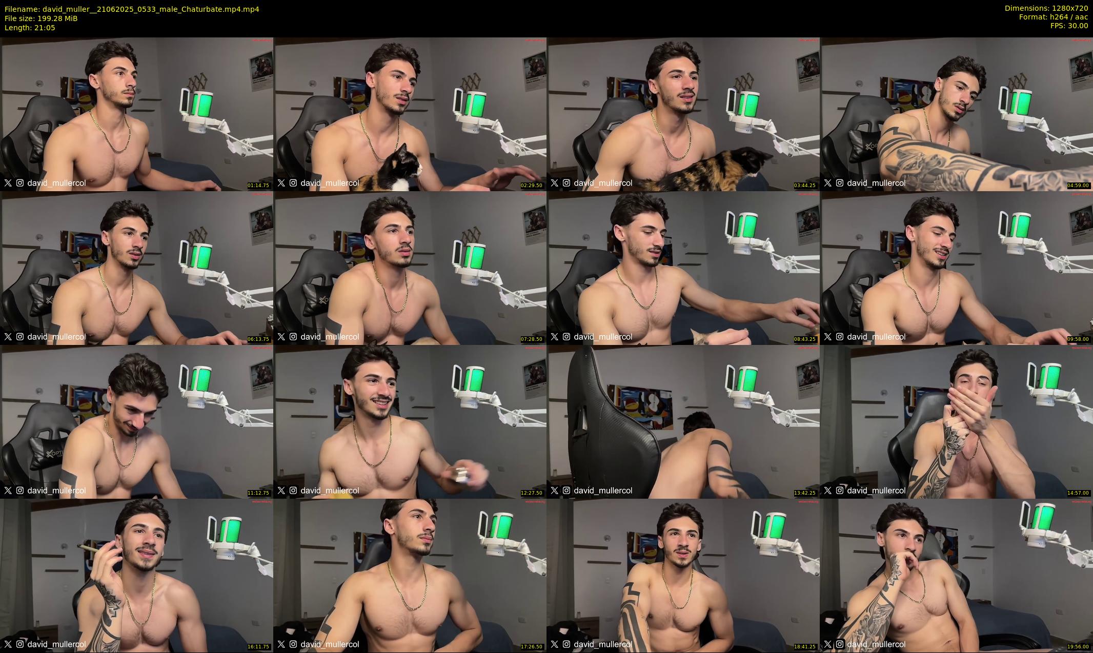 david_muller_ — 22 minute Chaturbate male cam show recording, 720p, Jun 21, 2025