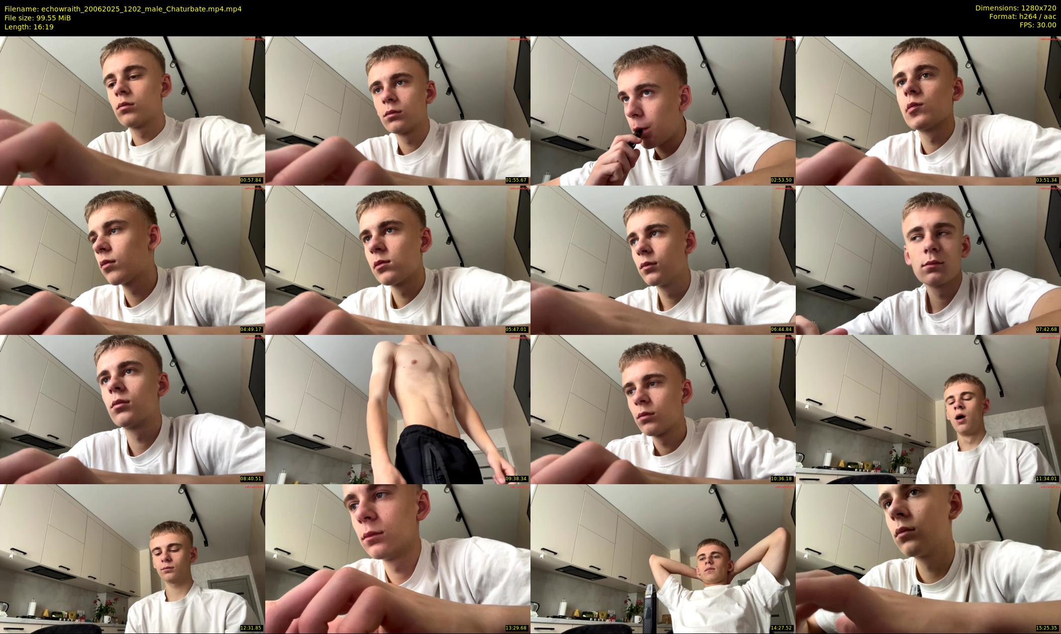 echowraith — 17 minute Chaturbate male cam show recording, 720p, Jun 20, 2025