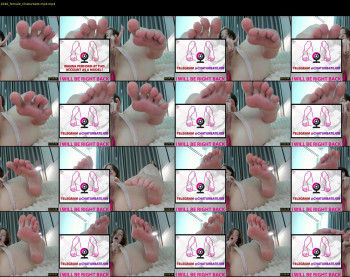 shycinderella — 38 minute Chaturbate female cam show recording, 720p, Jun 20, 2025