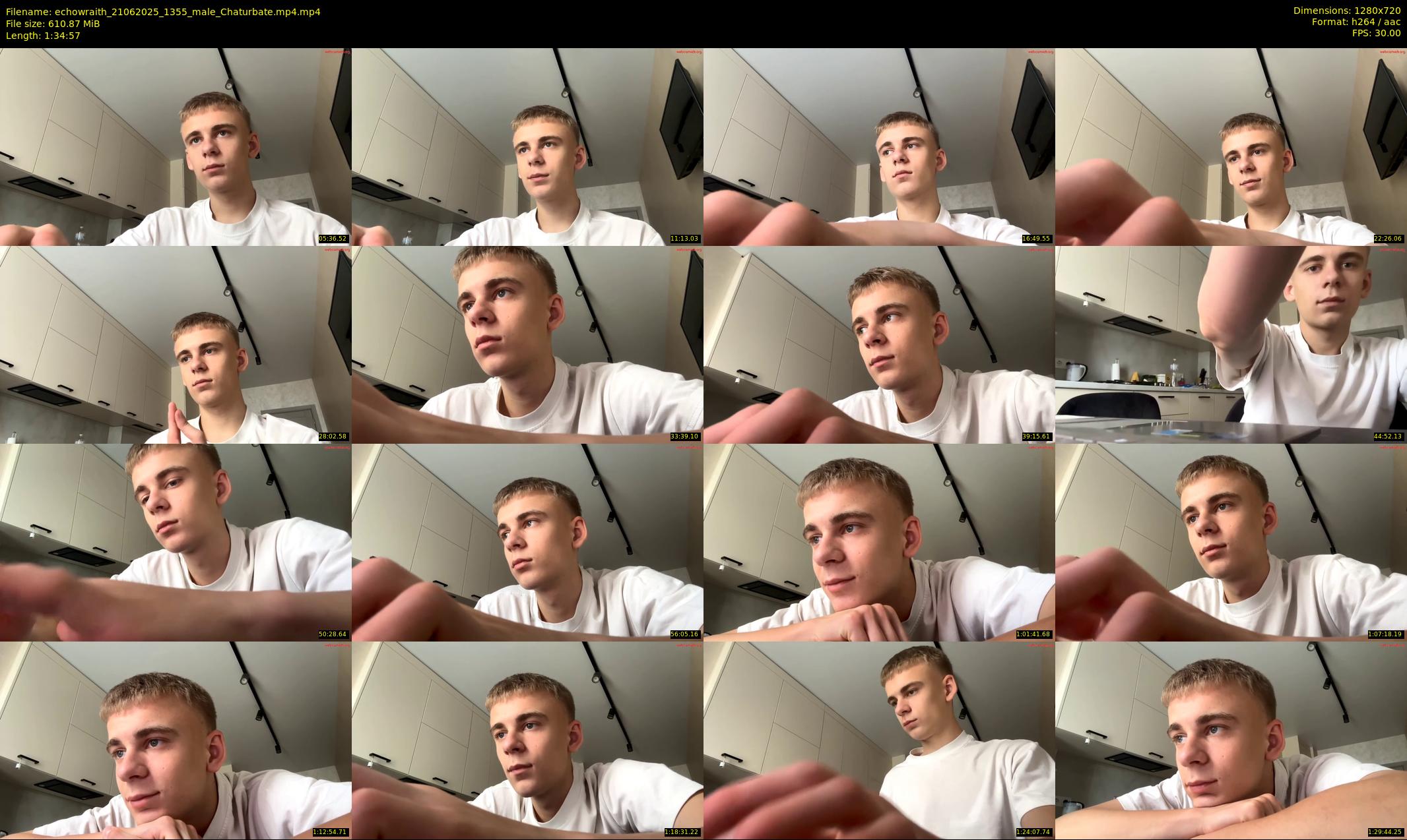 echowraith — 95 minute Chaturbate male cam show recording, 720p, Jun 21, 2025