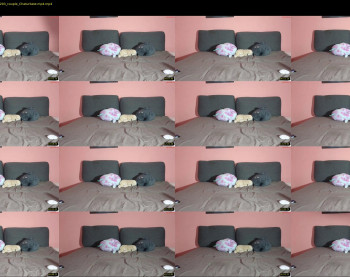 katusha008 — 35 minute Chaturbate couple cam show recording, 720p, Jun 22, 2025