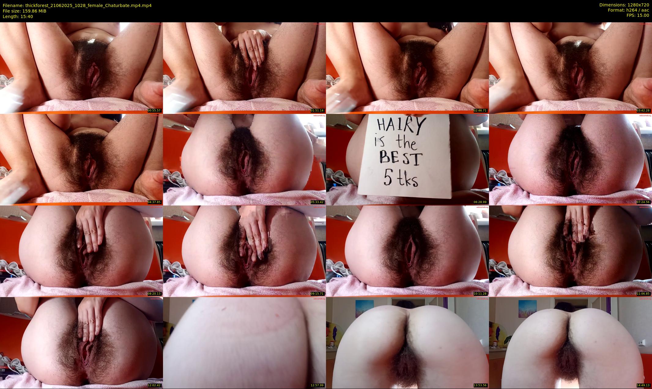 thickforest — 16 minute Chaturbate female cam show recording, 720p, Jun 21, 2025