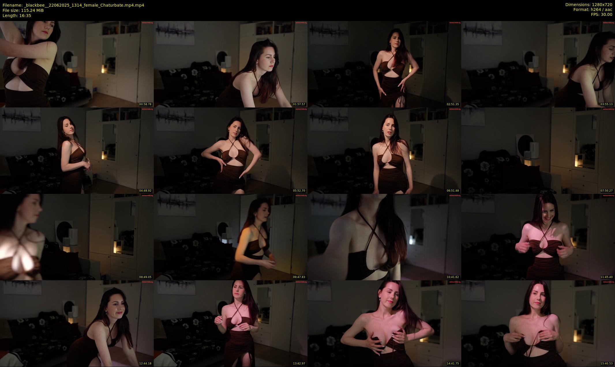 _blackbee_ — 17 minute Chaturbate female cam show recording, 720p, Jun 22, 2025
