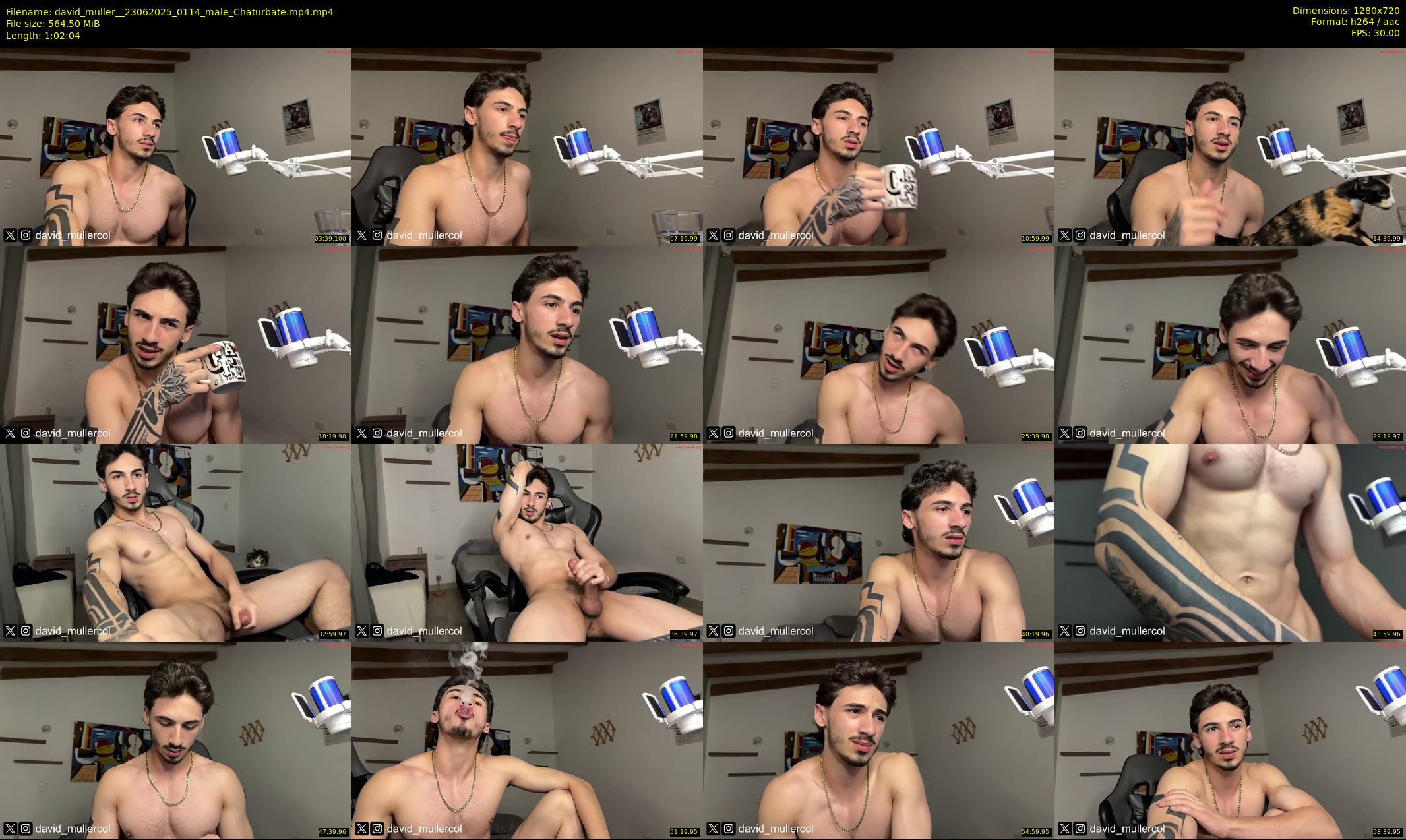 david_muller_ — 63 minute Chaturbate male cam show recording, 720p, Jun 23, 2025