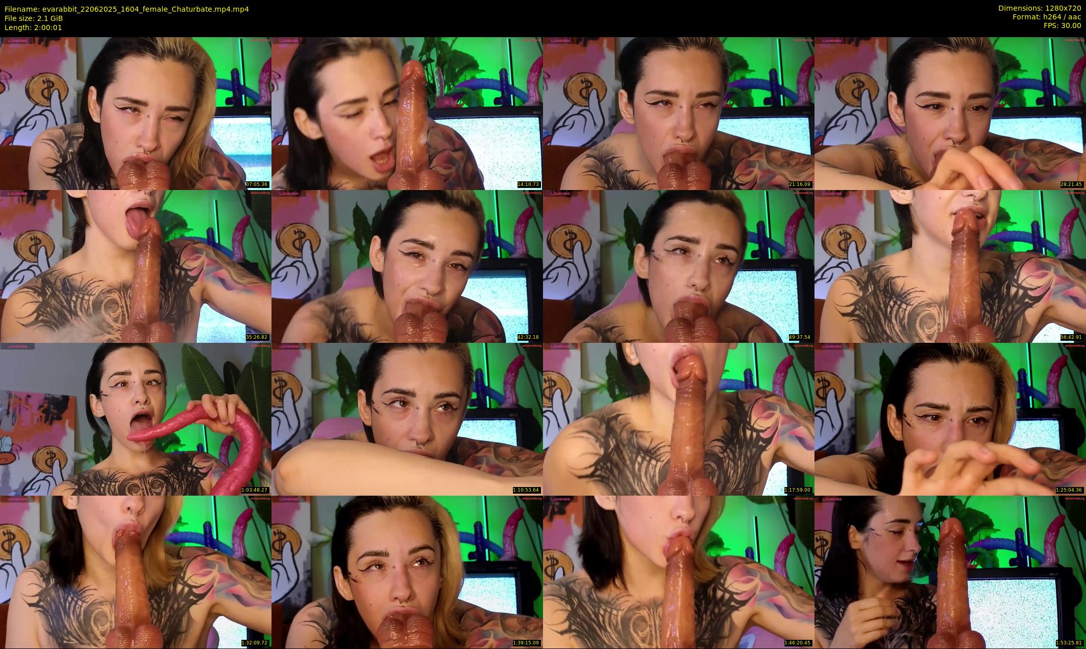 evarabbit — 121 minute Chaturbate female cam show recording, 720p, Jun 22, 2025