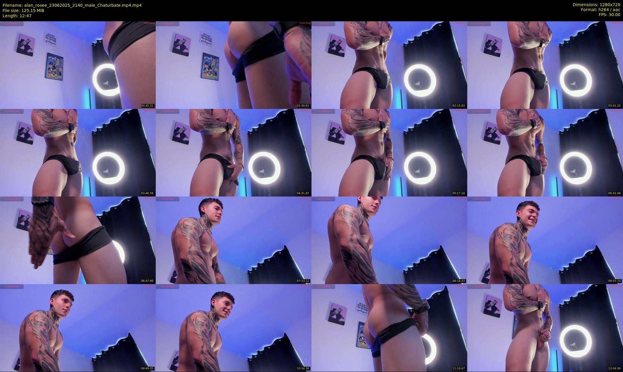 alan_rosee — 13 minute Chaturbate male cam show recording, 720p, Jun 23, 2025