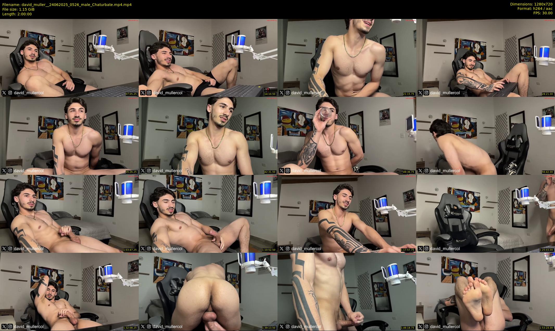 david_muller_ — 120 minute Chaturbate male cam show recording, 720p, Jun 24, 2025