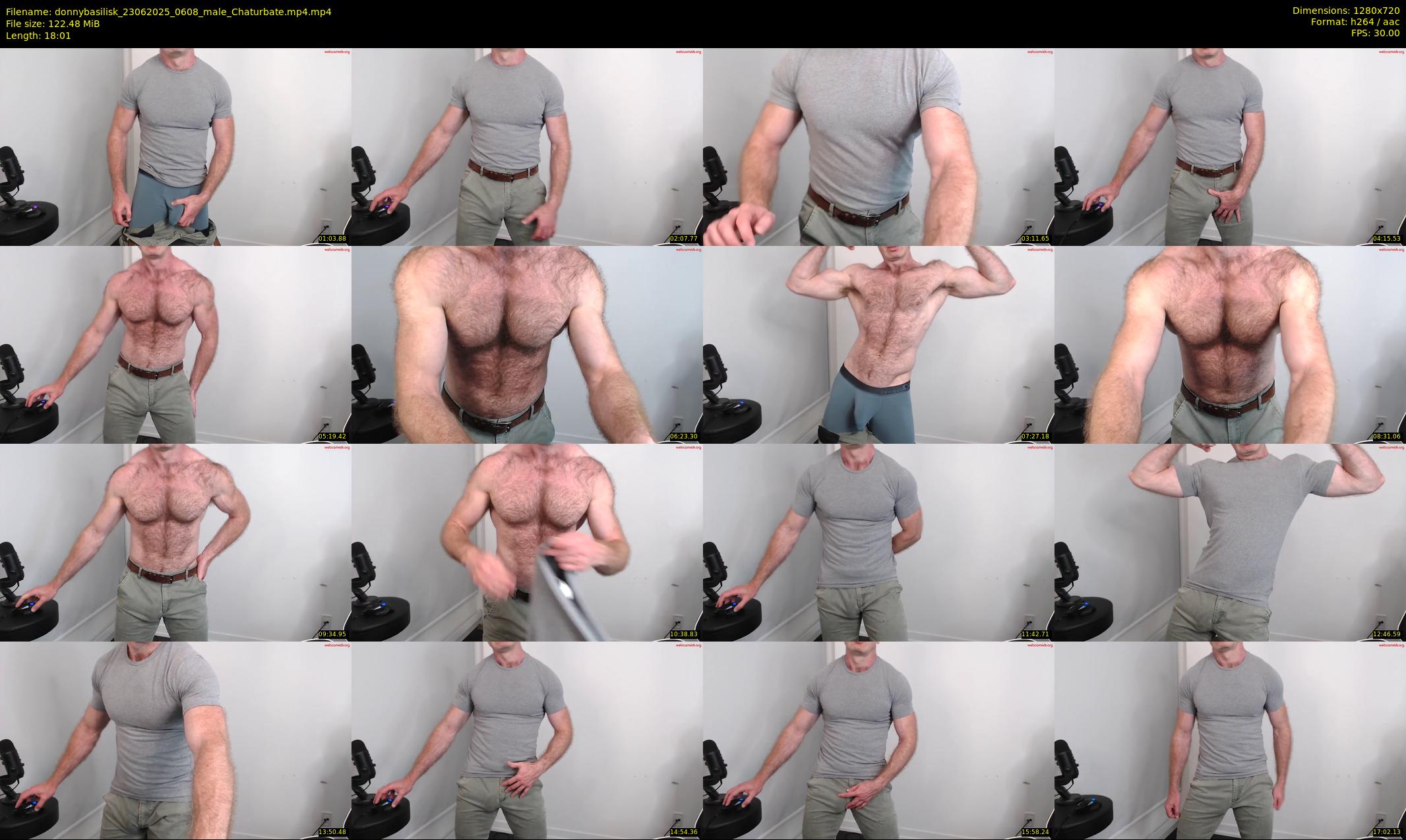 donnybasilisk — 19 minute Chaturbate male cam show recording, 720p, Jun 23, 2025