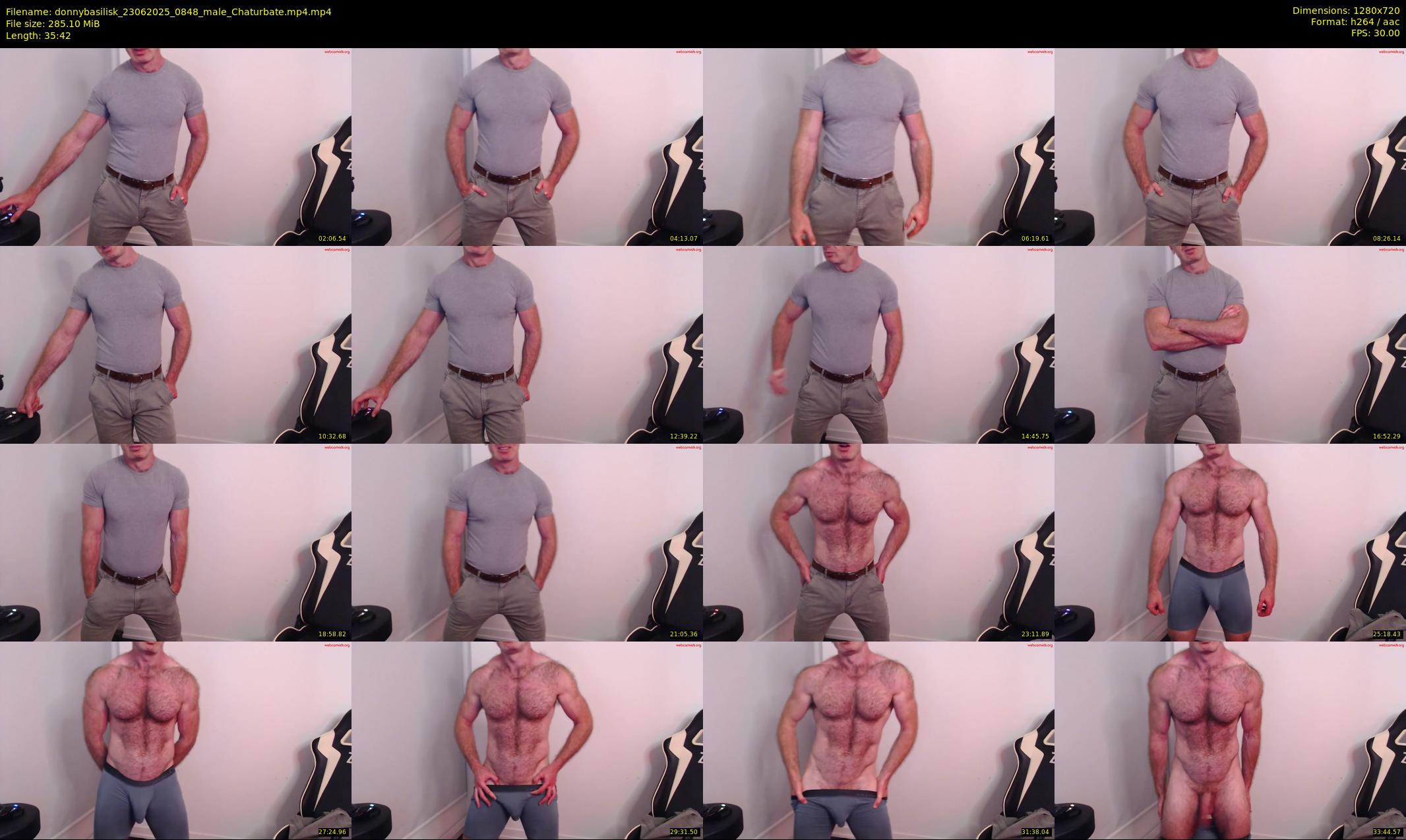 donnybasilisk — 36 minute Chaturbate male cam show recording, 720p, Jun 23, 2025