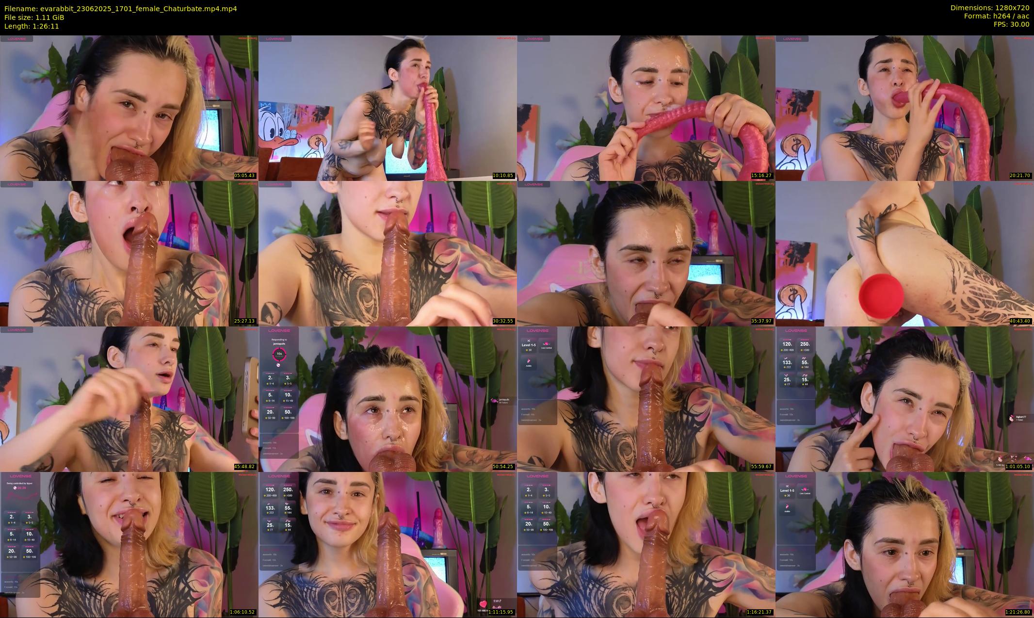evarabbit — 87 minute Chaturbate female cam show recording, 720p, Jun 23, 2025