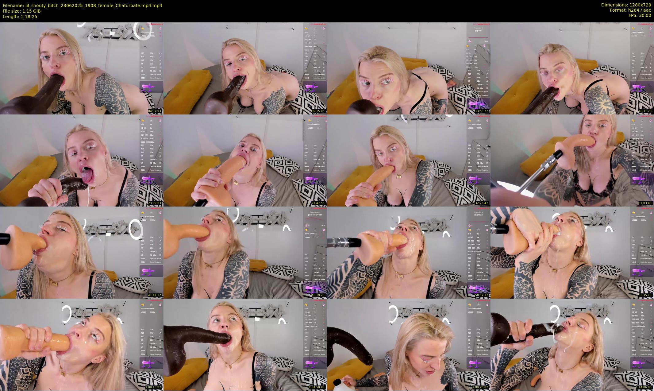 lil_shouty_bitch — 79 minute Chaturbate female cam show recording, 720p, Jun 23, 2025