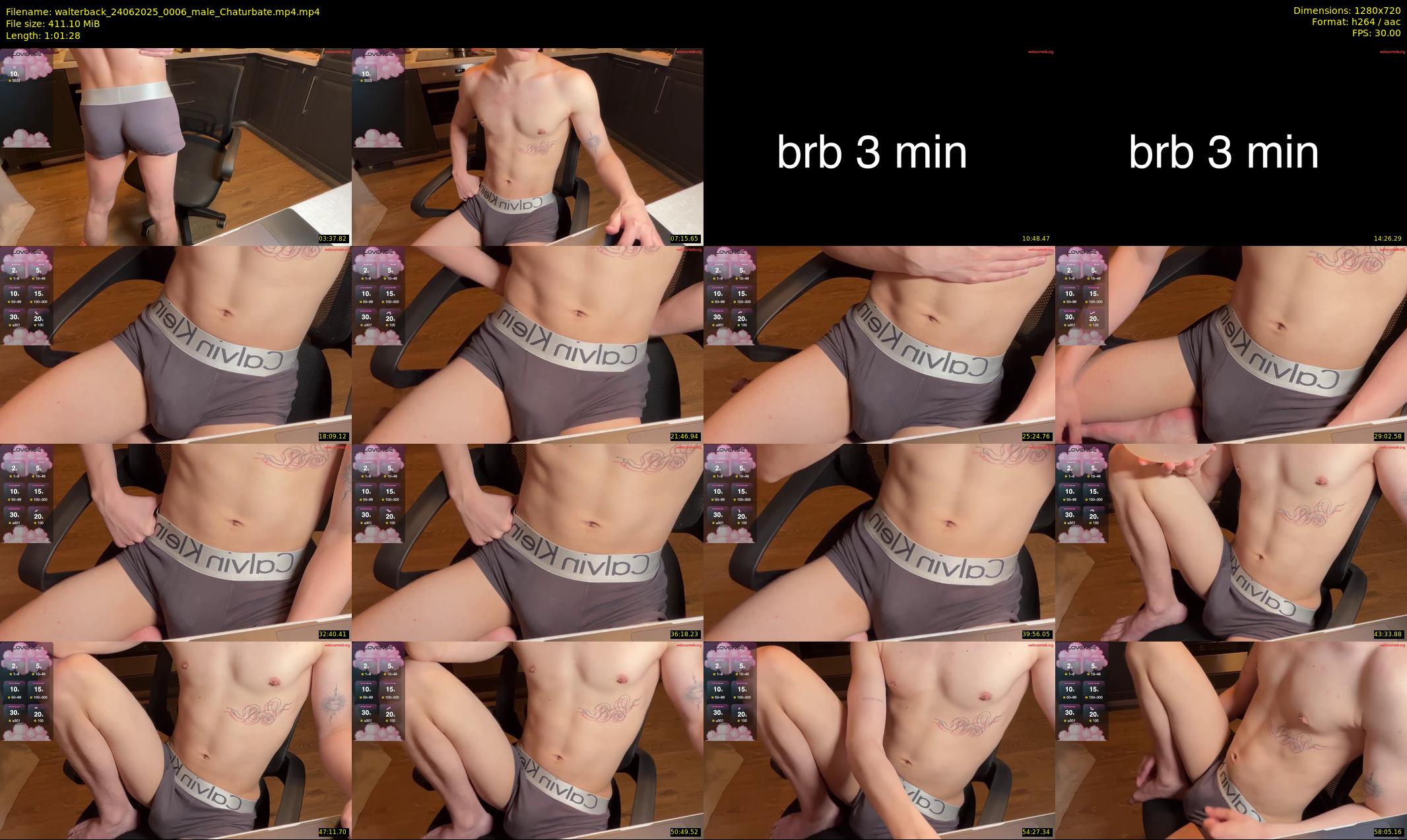 walterback — 62 minute Chaturbate male cam show recording, 720p, Jun 24, 2025