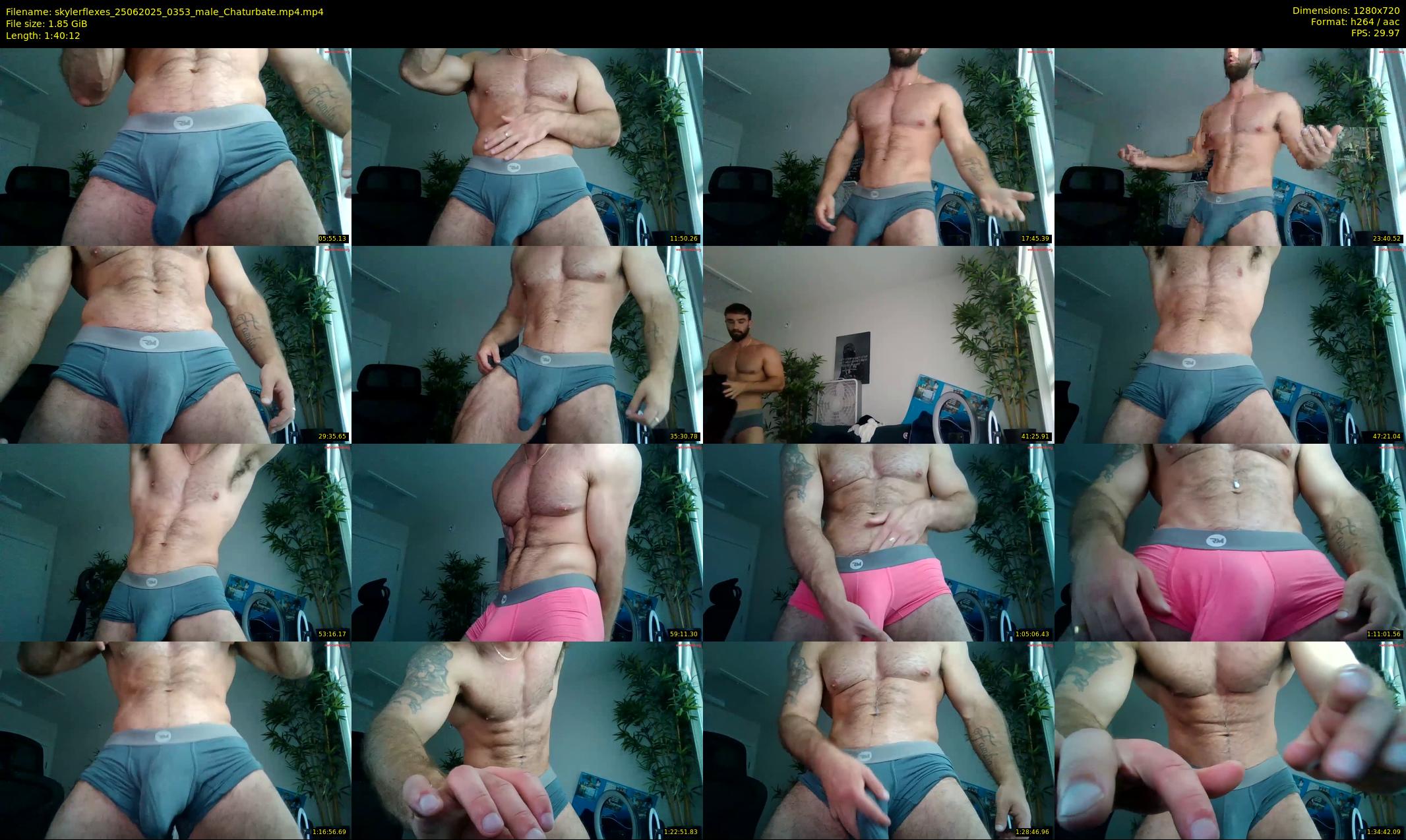 skylerflexes — 101 minute Chaturbate male cam show recording, 720p, Jun 25, 2025