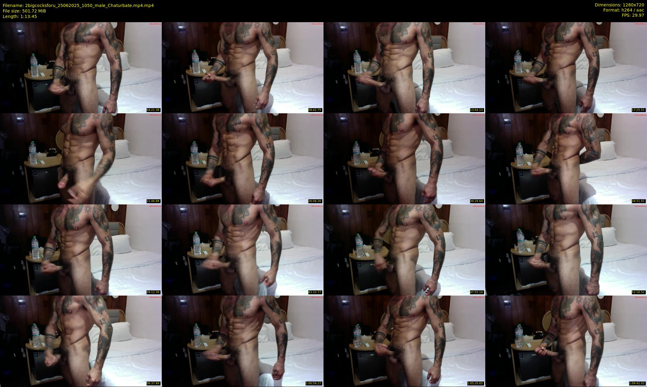 2bigcocksforu — 74 minute Chaturbate male cam show recording, 720p, Jun 25, 2025
