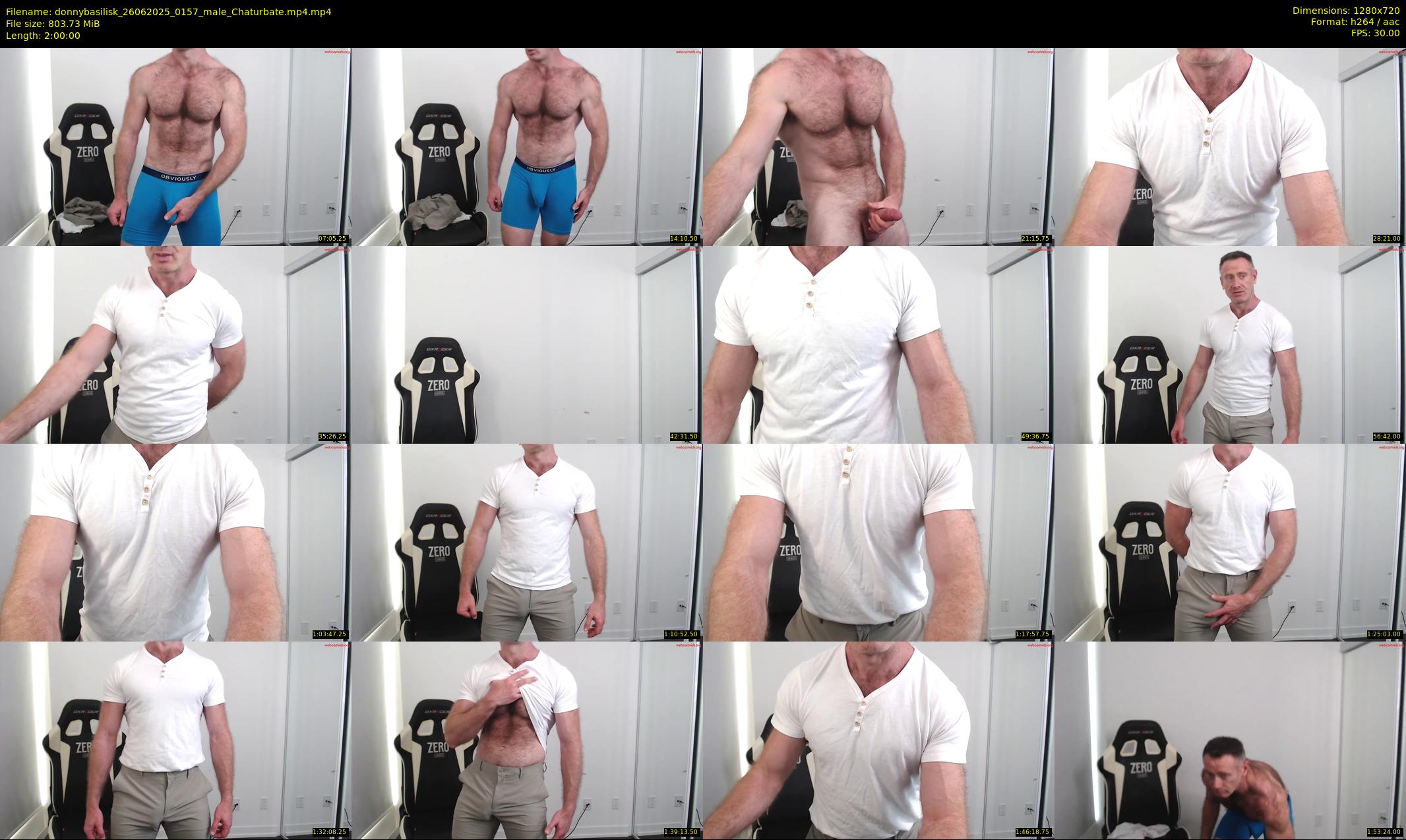 donnybasilisk — 120 minute Chaturbate male cam show recording, 720p, Jun 26, 2025