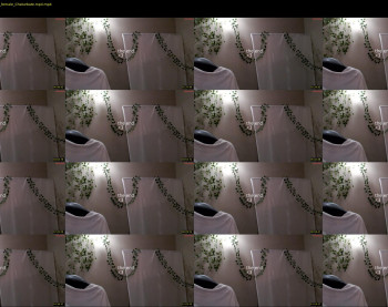 le_chan — 14 minute Chaturbate female cam show recording, 720p, Jun 25, 2025