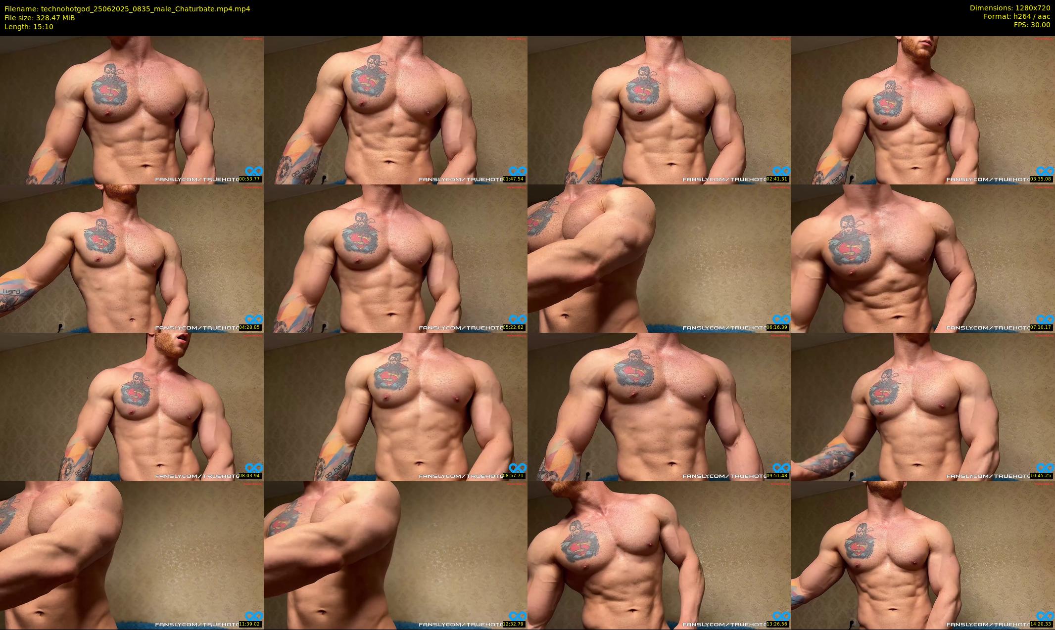 technohotgod — 16 minute Chaturbate male cam show recording, 720p, Jun 25, 2025