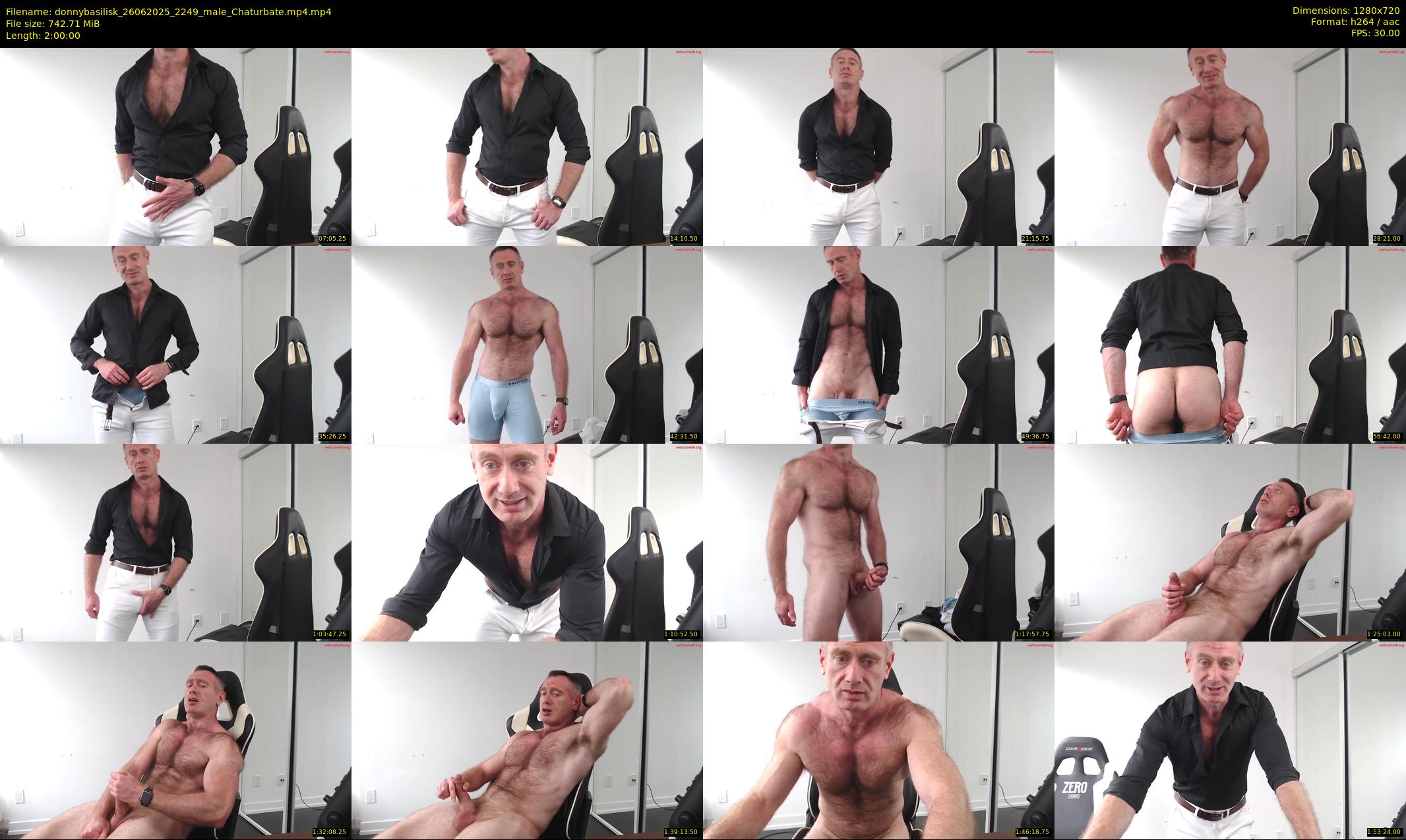 donnybasilisk — 120 minute Chaturbate male cam show recording, 720p, Jun 26, 2025