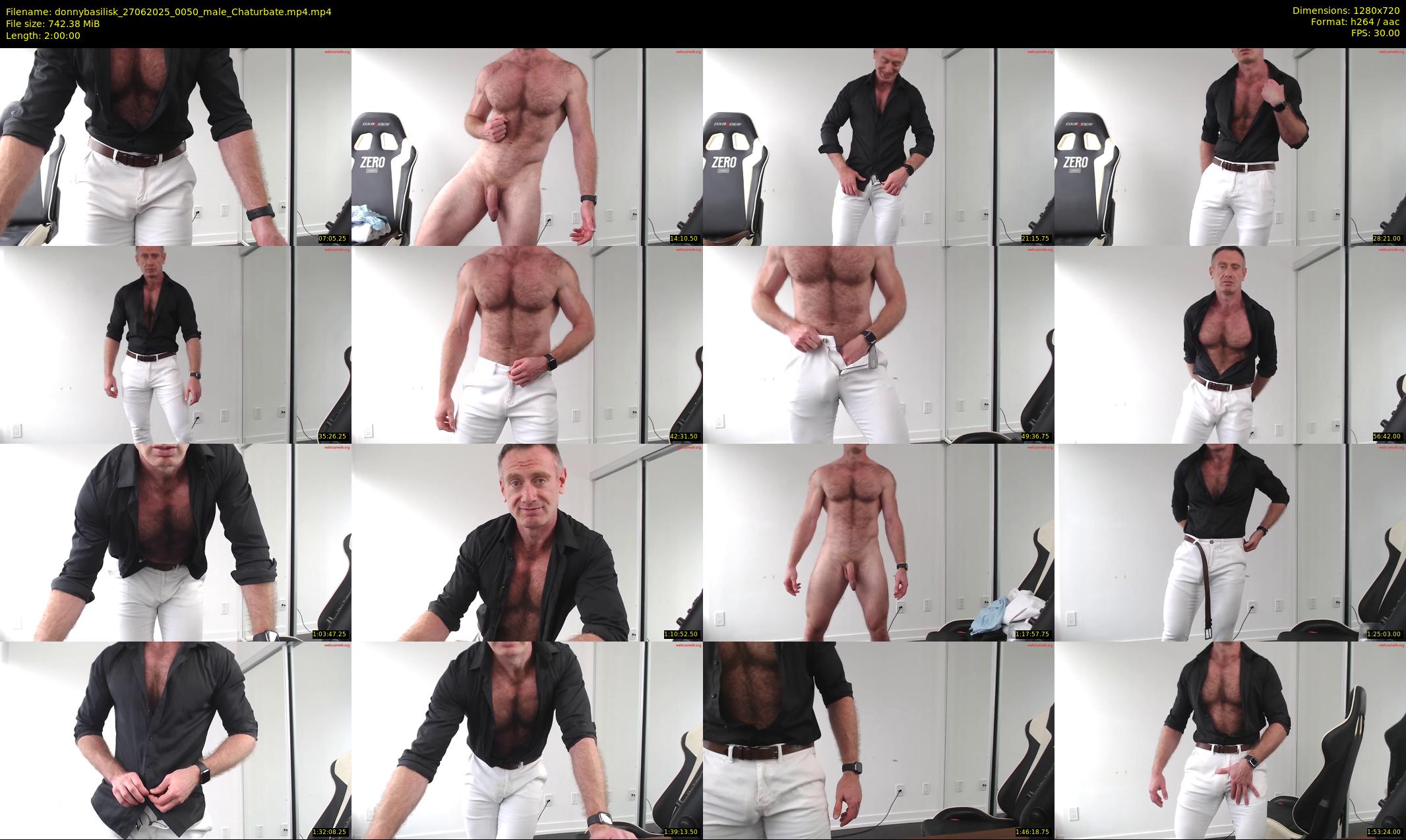 donnybasilisk — 120 minute Chaturbate male cam show recording, 720p, Jun 27, 2025